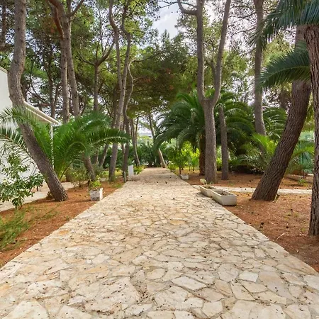 Iremar C2 - Myho Casa